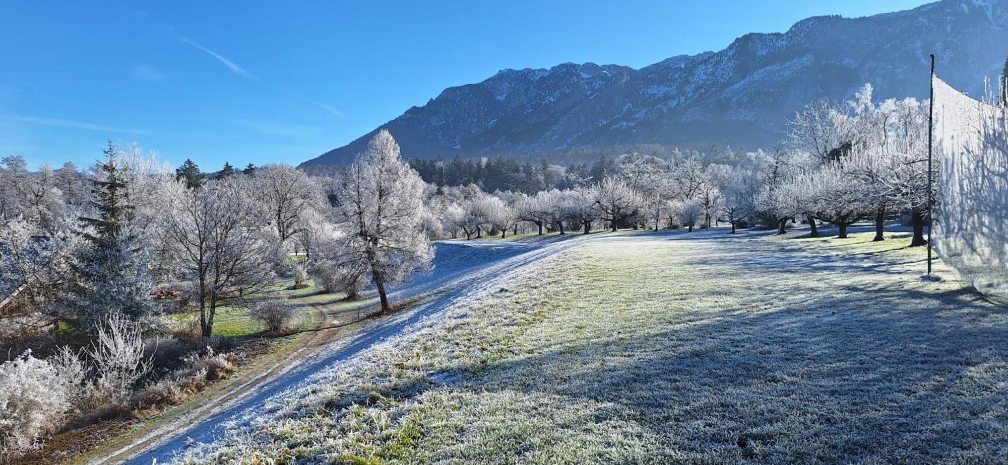 Schlossberghof Marzoll Bad Reichenhall Esterno foto